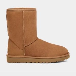 UGG boots in Chestnut Brown